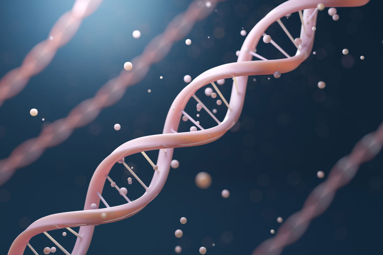Longevity Starts Now: Building a Future-Proof Body with OMC